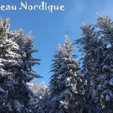 Lägenhet Calme Et Lumineux, Centre-ville, Pour 4 - H2