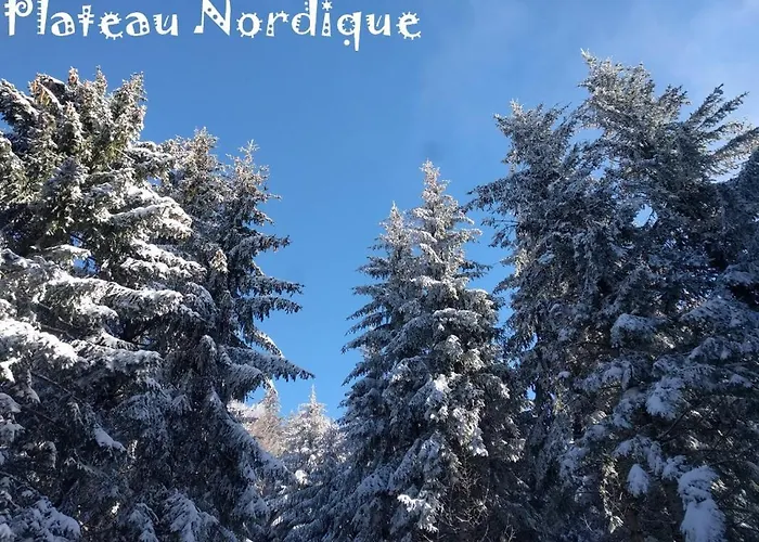 公寓 Calme Et Lumineux, Centre-ville, Pour 4 - H2